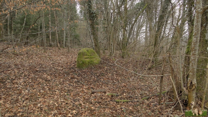 Ritterstein Nr. 197-3 Hier stand das Reissler-Forsthaus.JPG - Ritterstein Nr.197 Hier stand das Reissler-Forsthaus